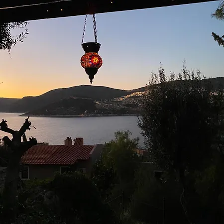 Vila Olive Garden, Clubpatara Kalkan