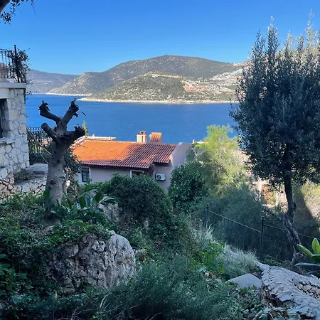 Vila Olive Garden, Kalkan Clubpatara Kaş
