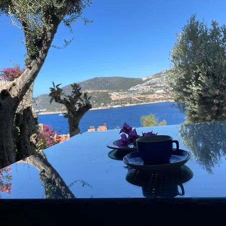 Olive Garden, Clubpatara Вілла Калкан