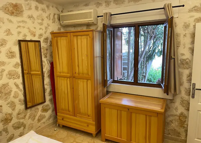 Olive Garden, Clubpatara *