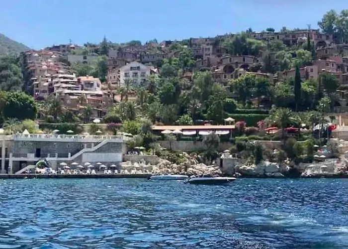 Villa Olive Garden, Clubpatara