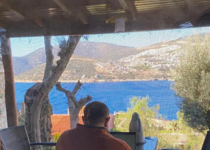 Villa Olive Garden, Clubpatara