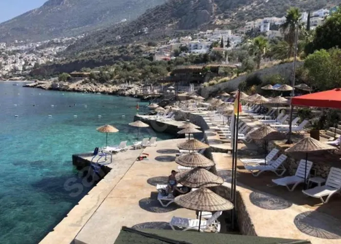 Olive Garden, Clubpatara *