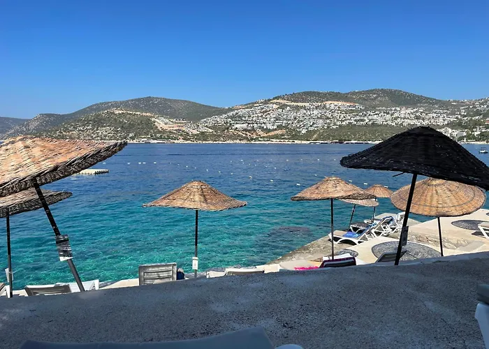 Olive Garden, Clubpatara *