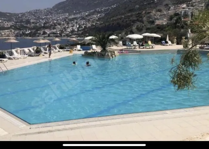 Olive Garden, Clubpatara *