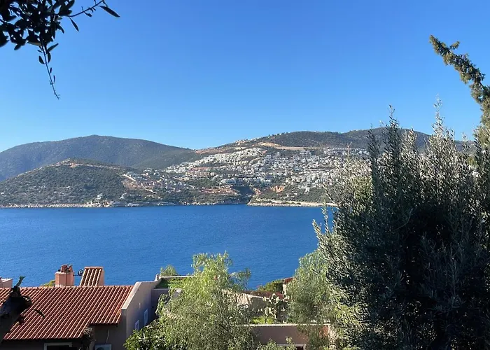 Olive Garden, Clubpatara Villa