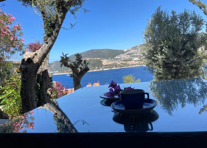 Olive Garden, Clubpatara Villa Kalkan